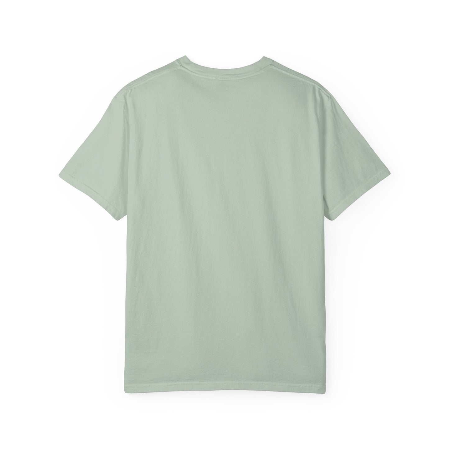 Cozy Book Lover Tee Unisex T-shirt Literary Apparel Leaf and Lore Readers' Society Autumn Vibes Gift Comfort Colours Shirt