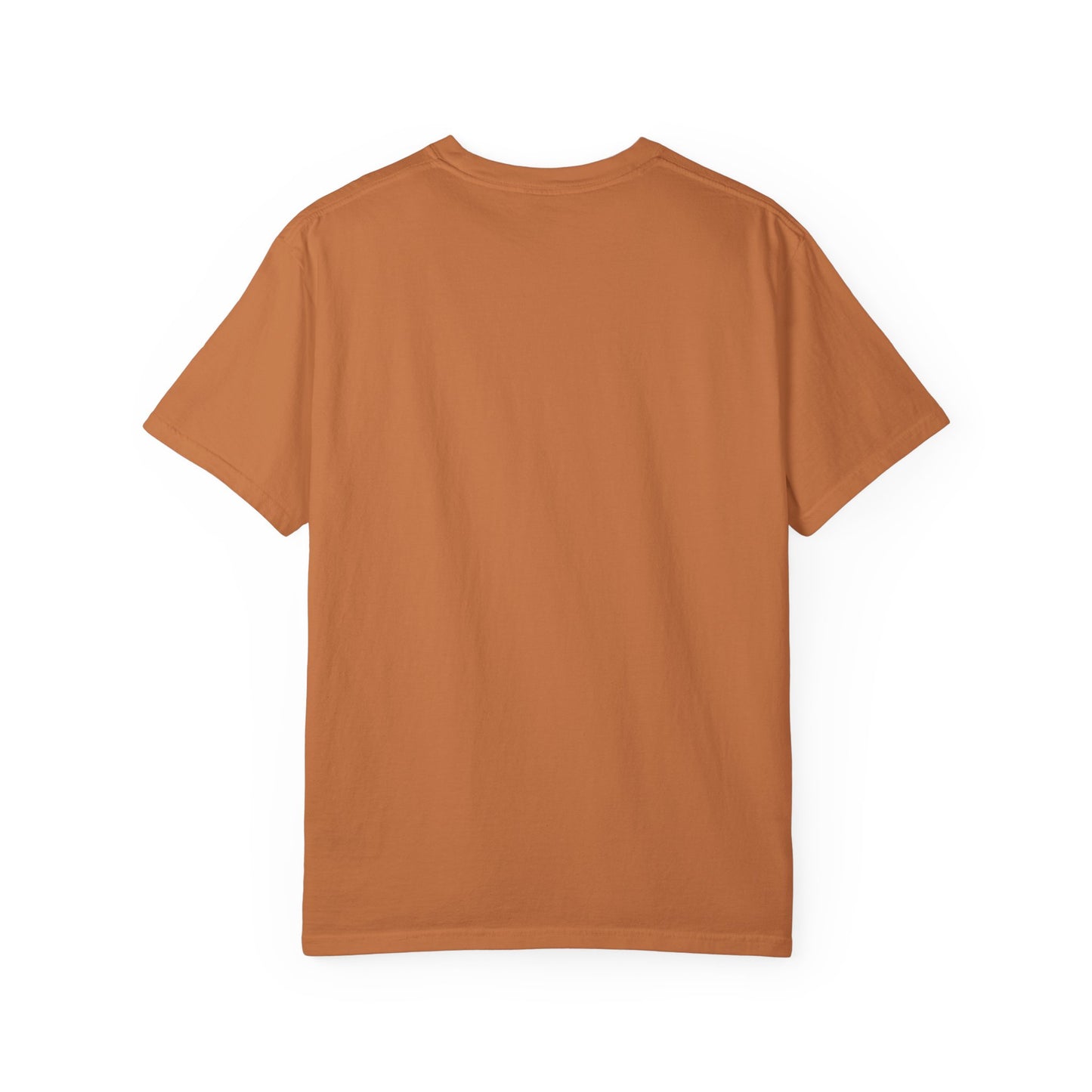 Cozy Book Lover Tee Unisex T-shirt Literary Apparel Leaf and Lore Readers' Society Autumn Vibes Gift Comfort Colours Shirt