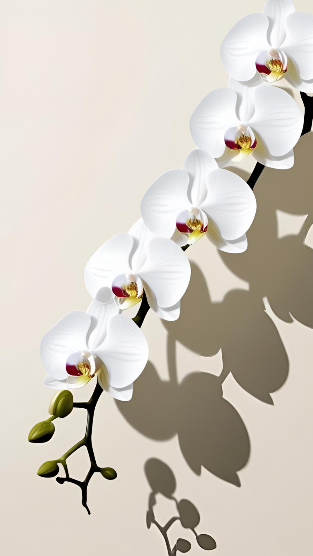 #22 Floral Minimalist
