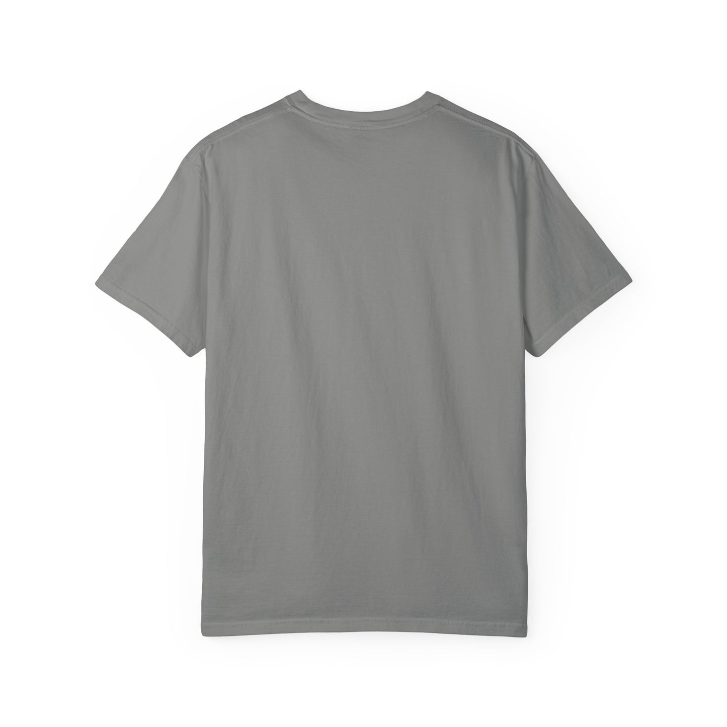 Cozy Book Lover Tee Unisex T-shirt Literary Apparel Leaf and Lore Readers' Society Autumn Vibes Gift Comfort Colours Shirt