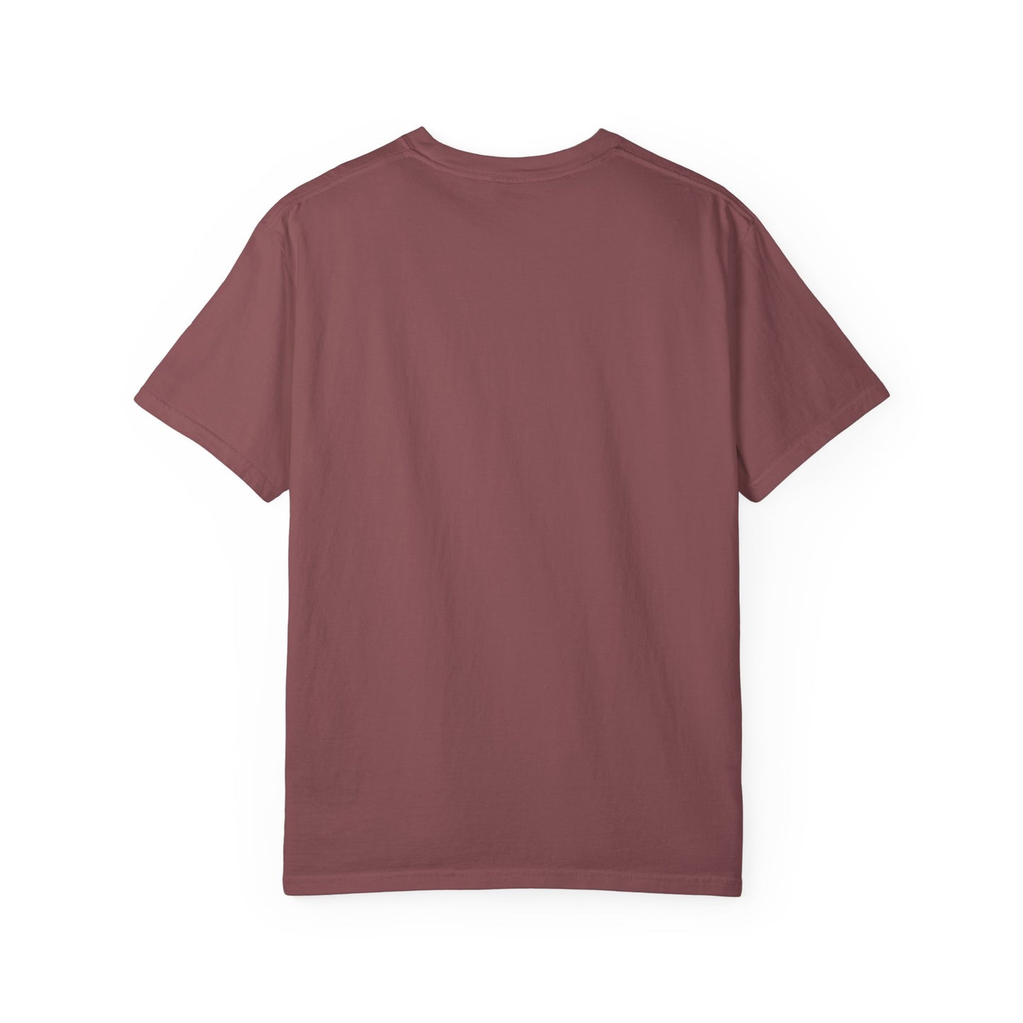Unisex Autumn T-Shirt Fall Apparel Cozy Vibes Shirt Thanksgiving Gift Seasonal Tees Pumpkin Spice Shirt Cozy Little Things Fall Vibes