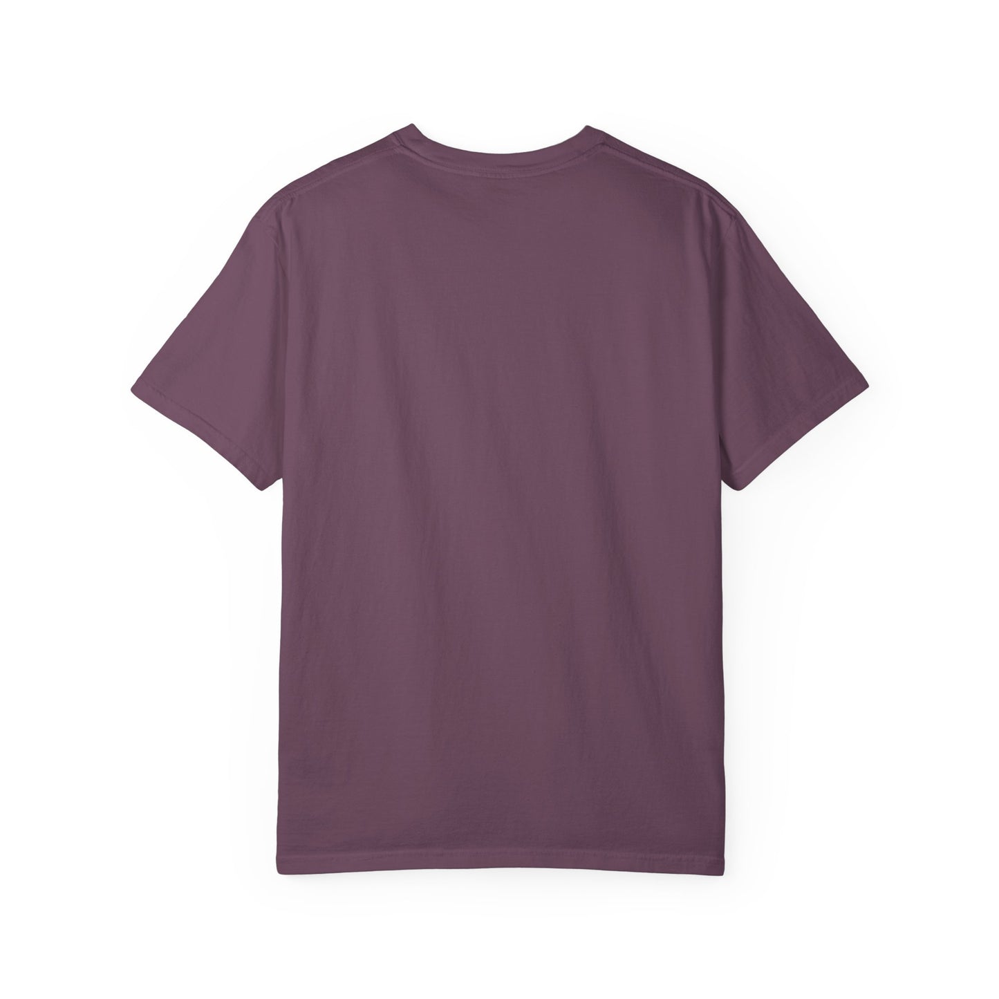 Unisex Autumn T-Shirt Fall Apparel Cozy Vibes Shirt Thanksgiving Gift Seasonal Tees Pumpkin Spice Shirt Cozy Little Things Fall Vibes