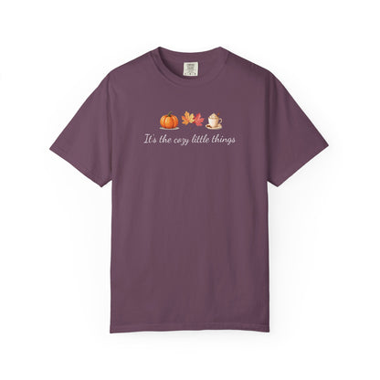 Unisex Autumn T-Shirt Fall Apparel Cozy Vibes Shirt Thanksgiving Gift Seasonal Tees Pumpkin Spice Shirt Cozy Little Things Fall Vibes