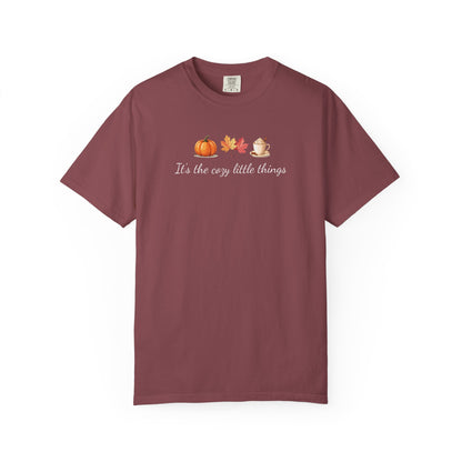 Unisex Autumn T-Shirt Fall Apparel Cozy Vibes Shirt Thanksgiving Gift Seasonal Tees Pumpkin Spice Shirt Cozy Little Things Fall Vibes